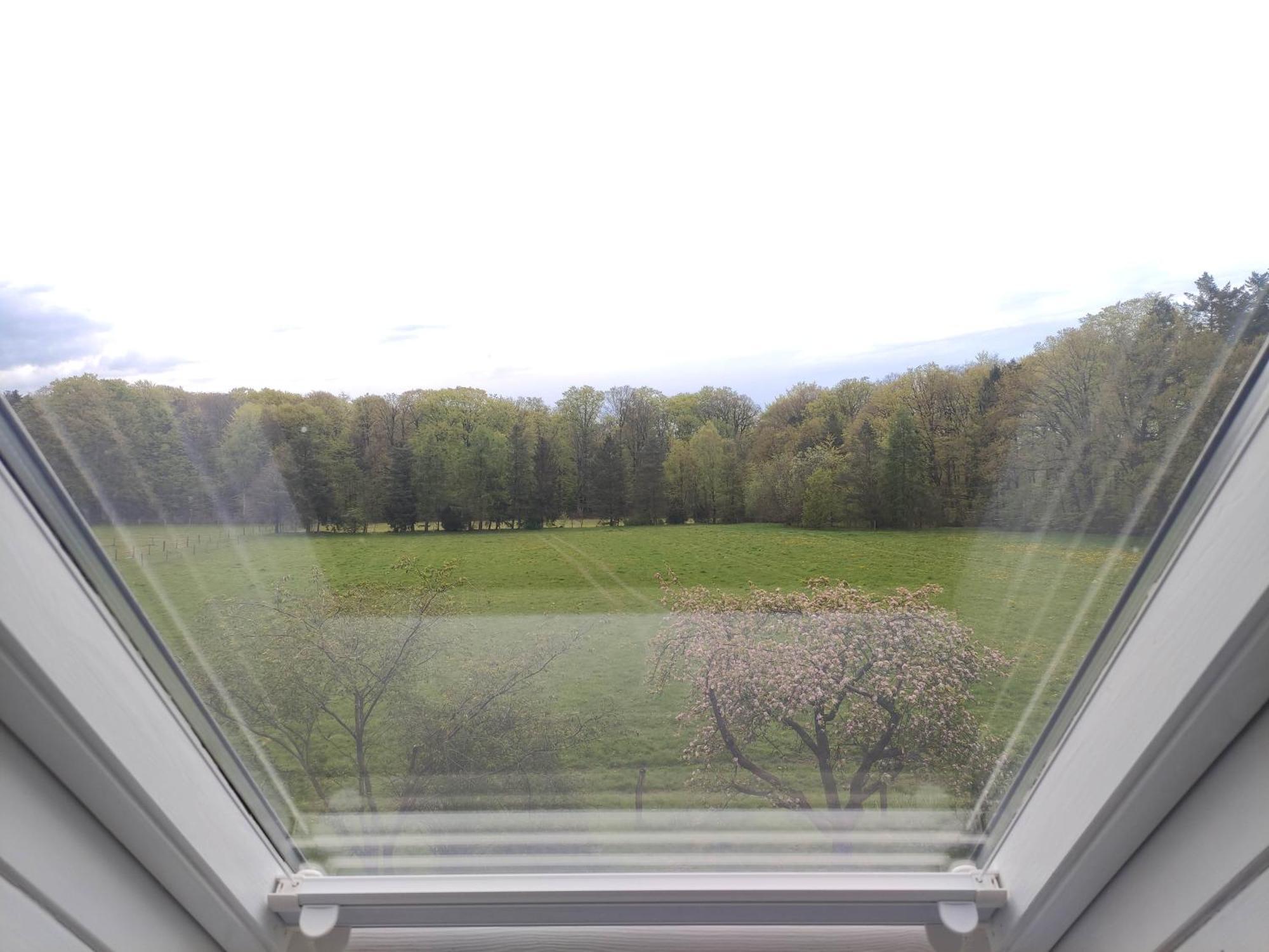 Fewo - Dat Tweete Tohuus - Im Herzen Der Lueneburger Heide Soltau Exterior foto